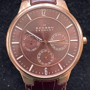 Men’s Skagen Denmark watch